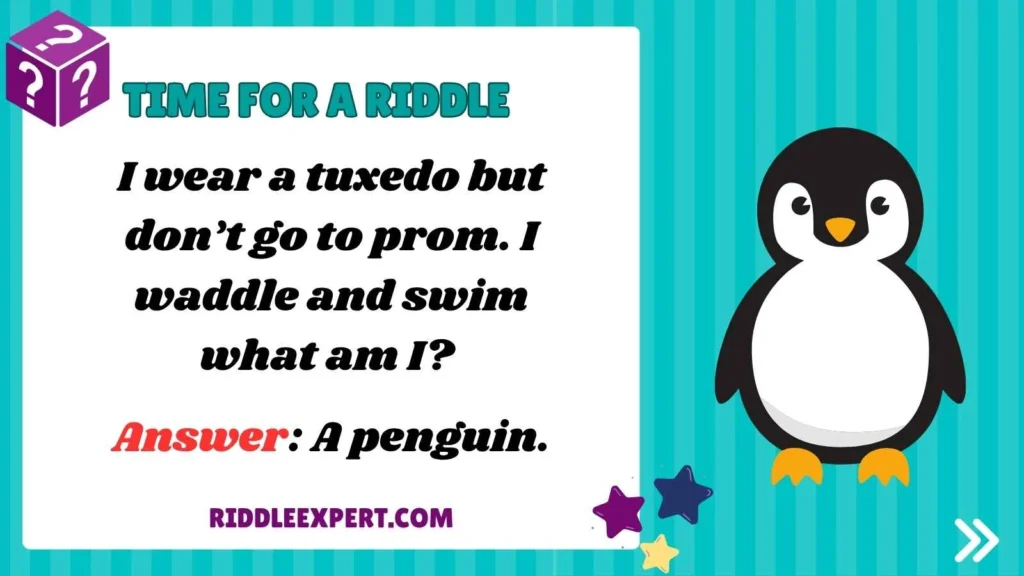 Animal Riddles