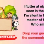 Animal Riddles