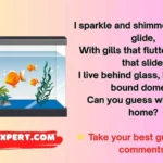 Aquarium Riddles