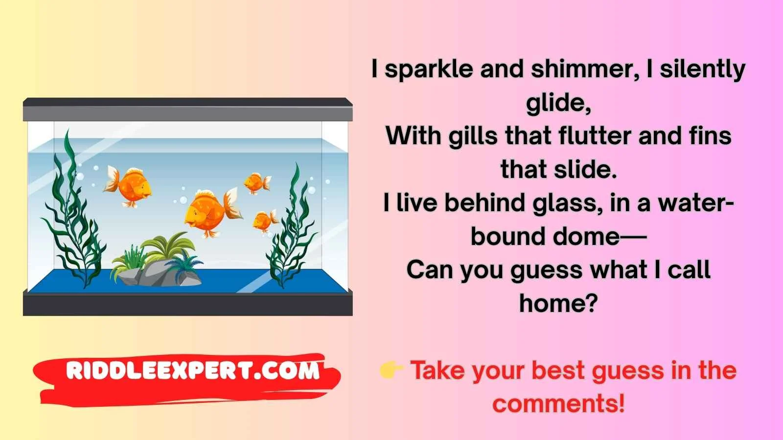 Aquarium Riddles