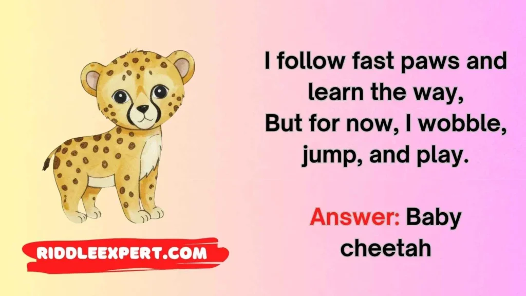 Baby Cheetah Riddles