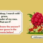 Best Ant Riddles