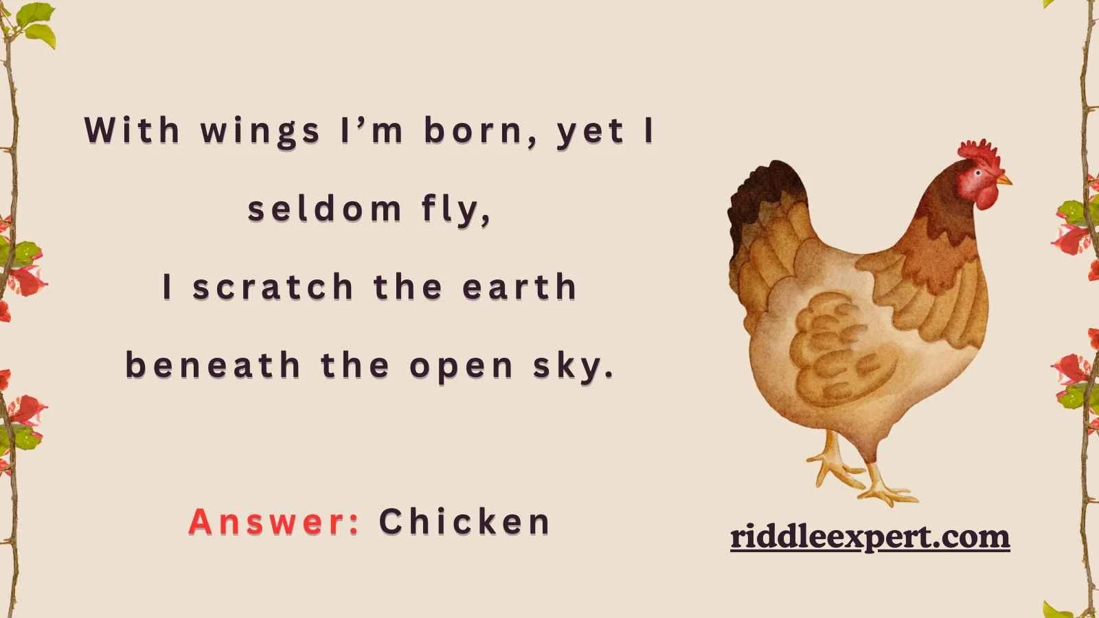 Best Chicken Riddles