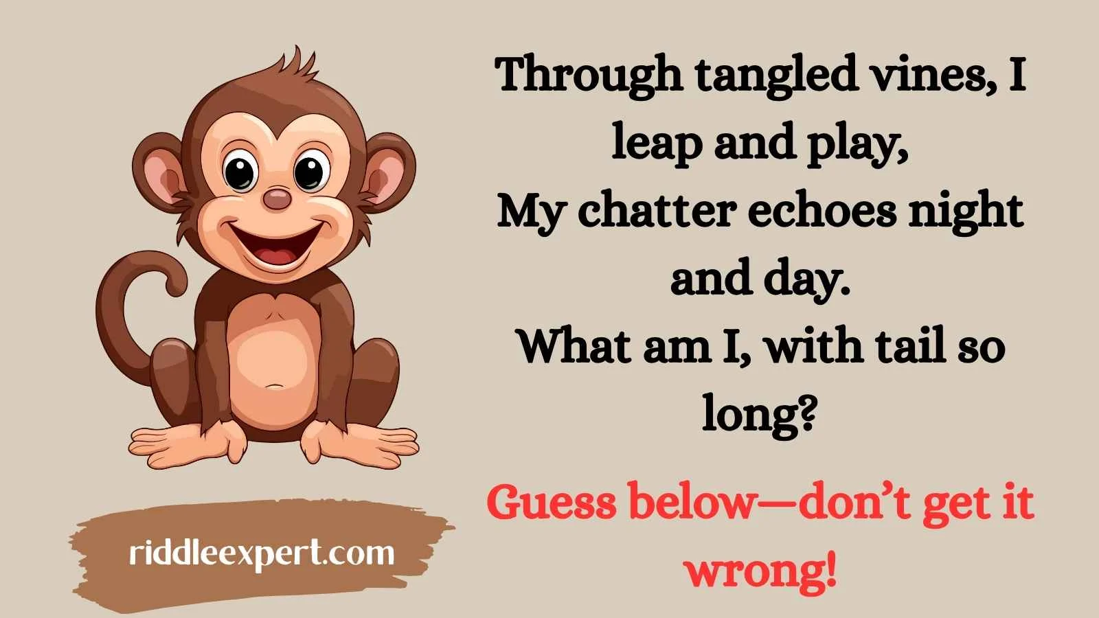 Best Monkey Riddles