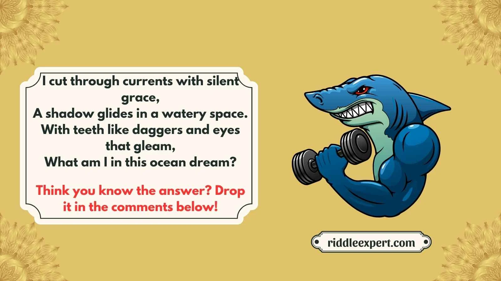 Best Shark Riddles