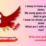 Bird Riddles