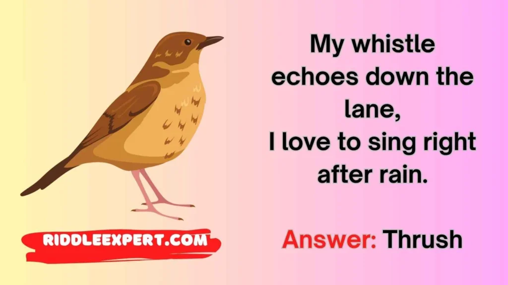 Birds in Nature Riddles