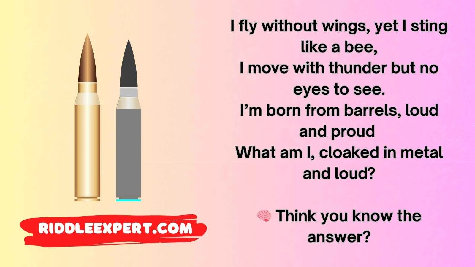 Bullet Riddles