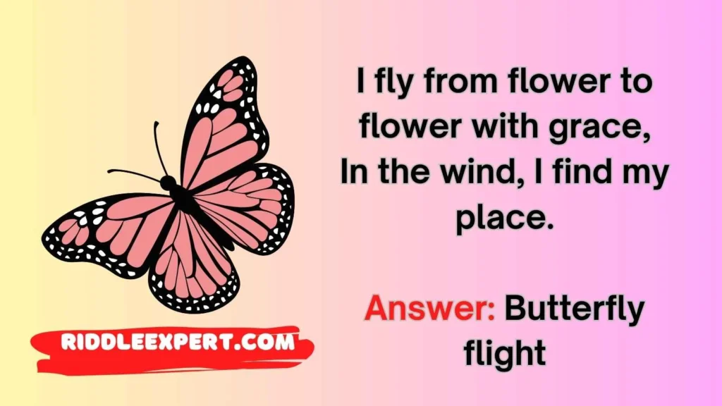 Butterfly Flight Riddles
