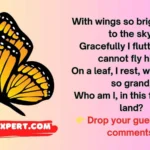 Butterfly Riddles
