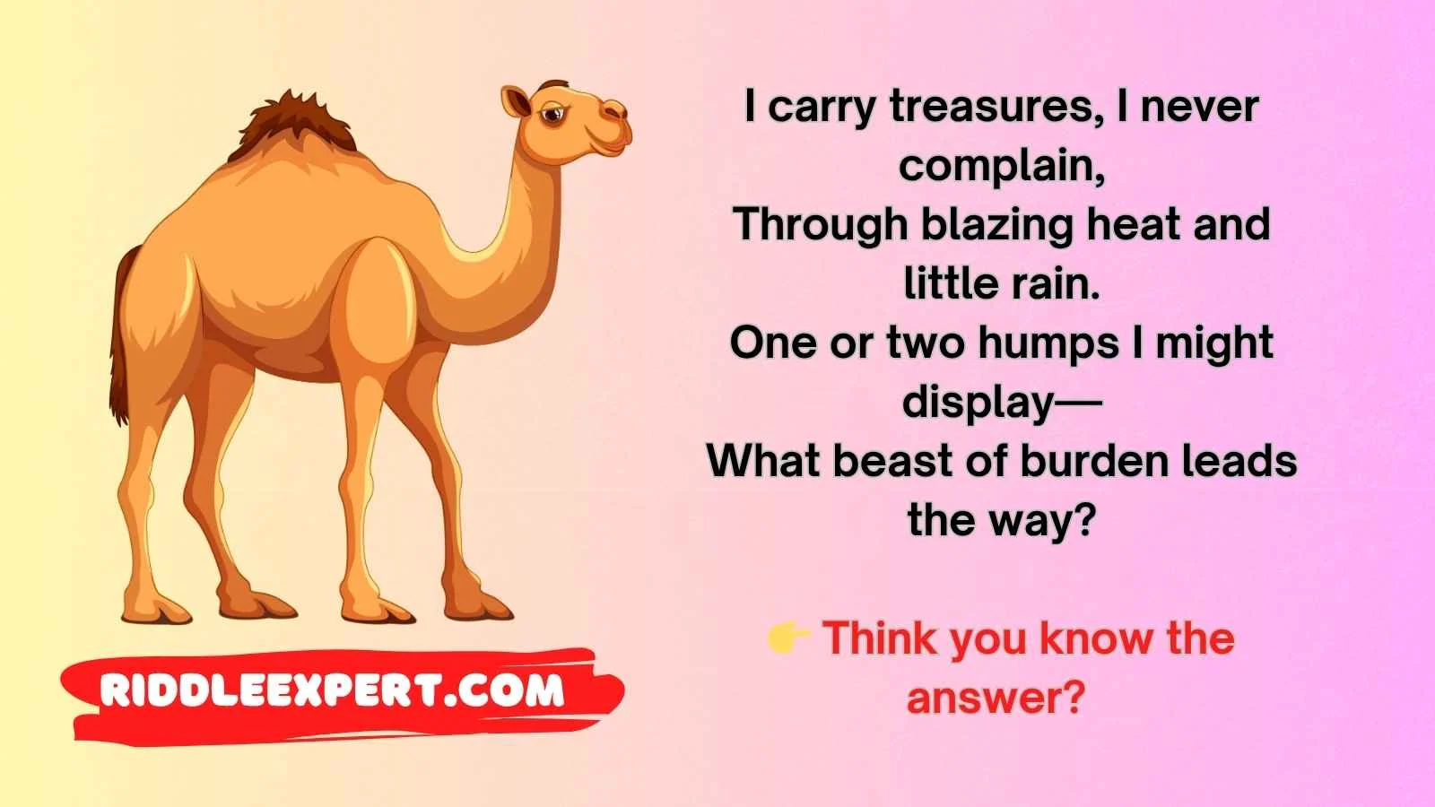 Camel Riddles