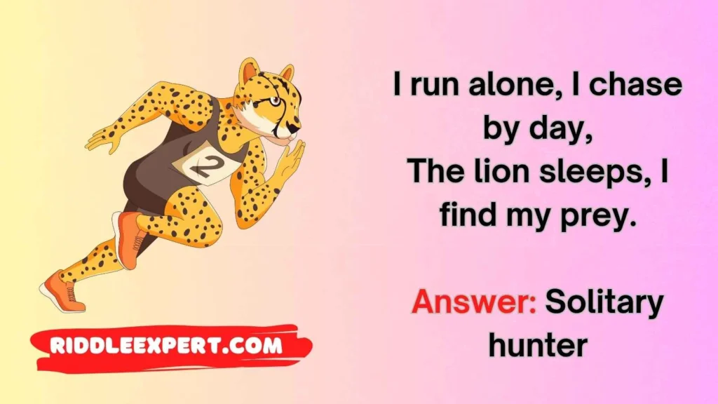 Cheetah vs Other Cats