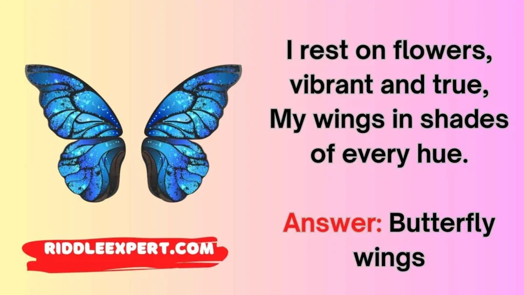 Classic Butterfly Riddles