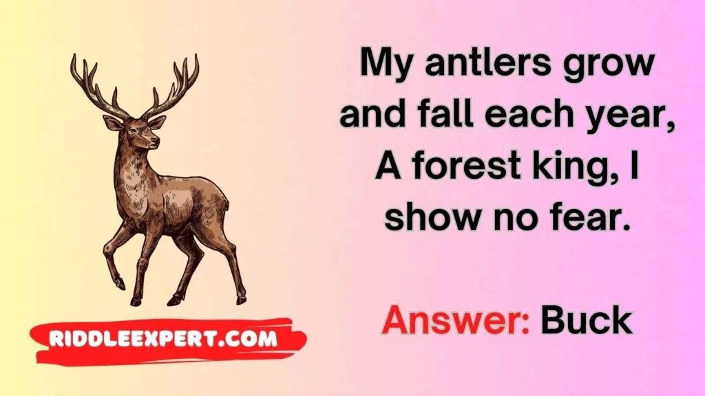 Classic Deer Riddles
