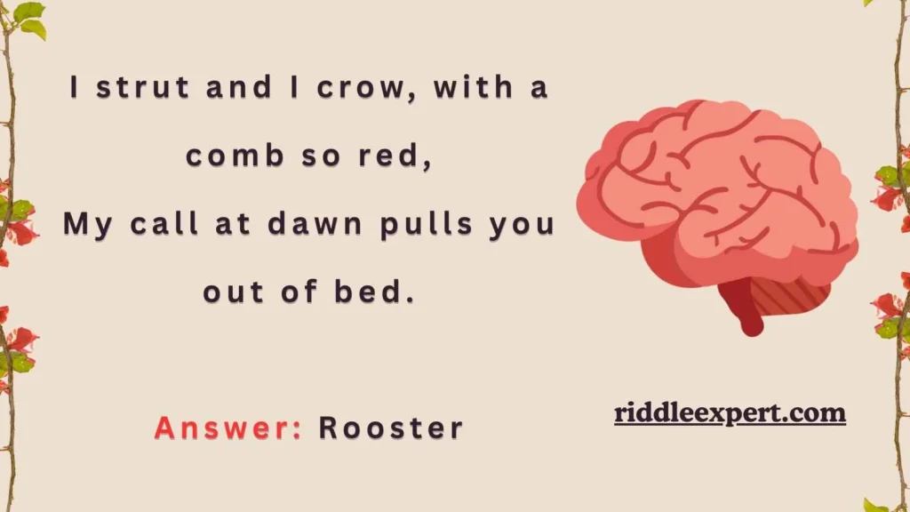 Cluck Tastic Barnyard Brain Teasers