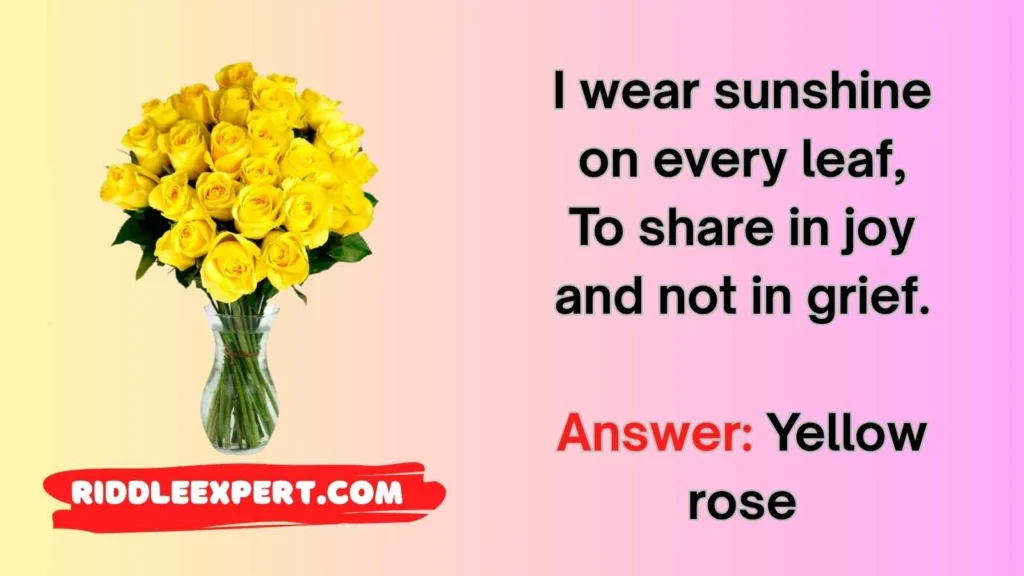 Colorful Rose Riddles