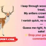 Deer Riddles