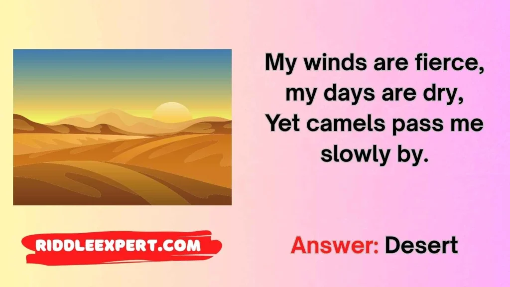 Desert Life Riddles