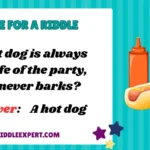 Dog Riddles