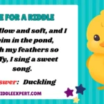 Duck Riddles