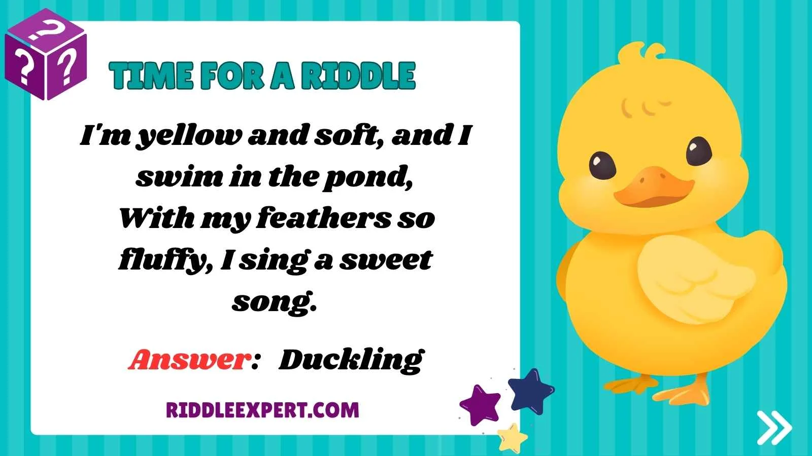 Duck Riddles