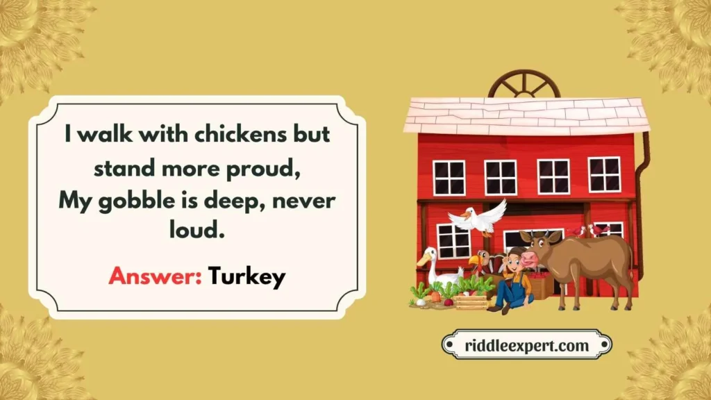 Farm Themed Turkey Riddles