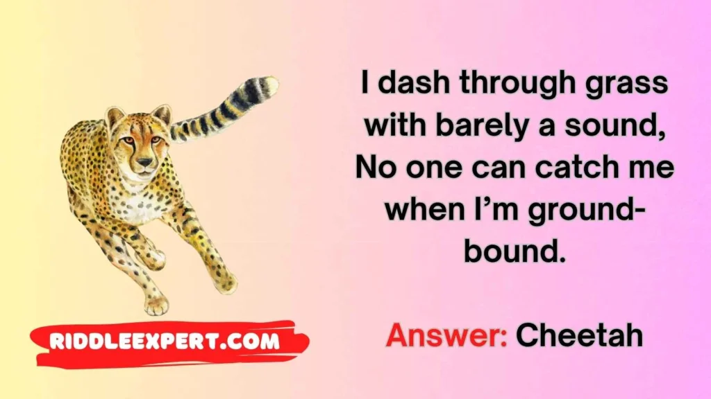 Fast & Furious Cheetah Riddles