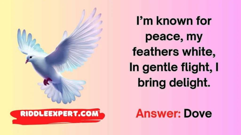 Feathered Friends Riddles