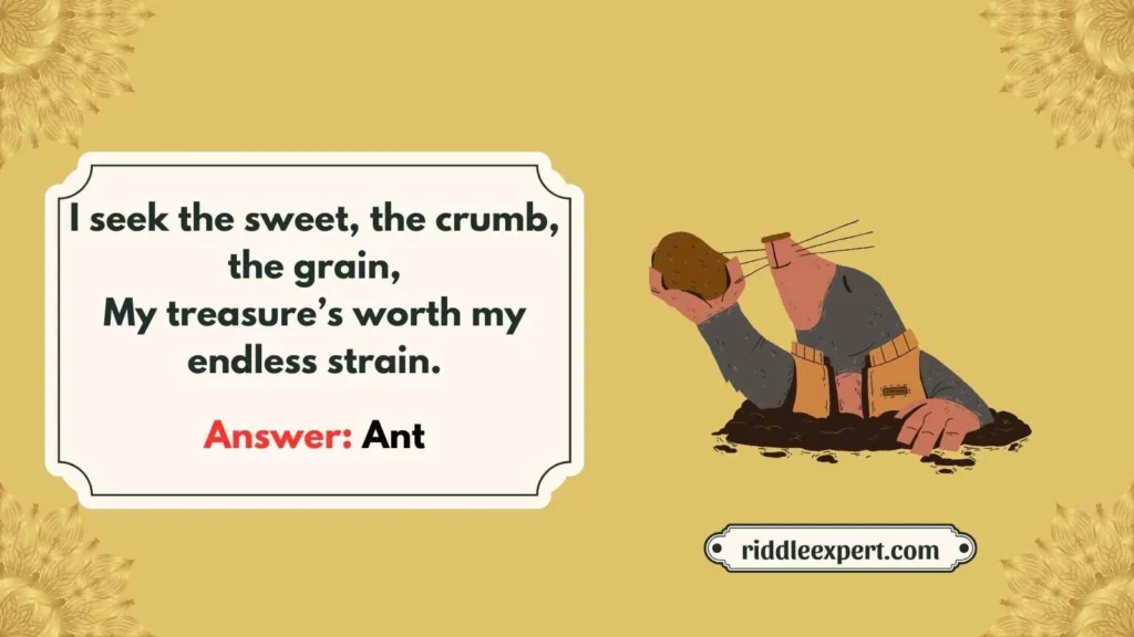 Food Foragers Ant 