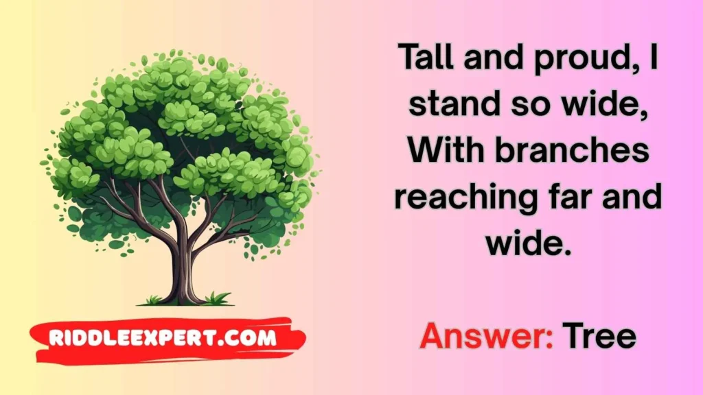 Forest and Trees Riddles