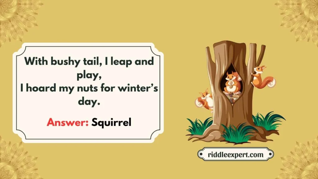 Forest Hidden Creatures