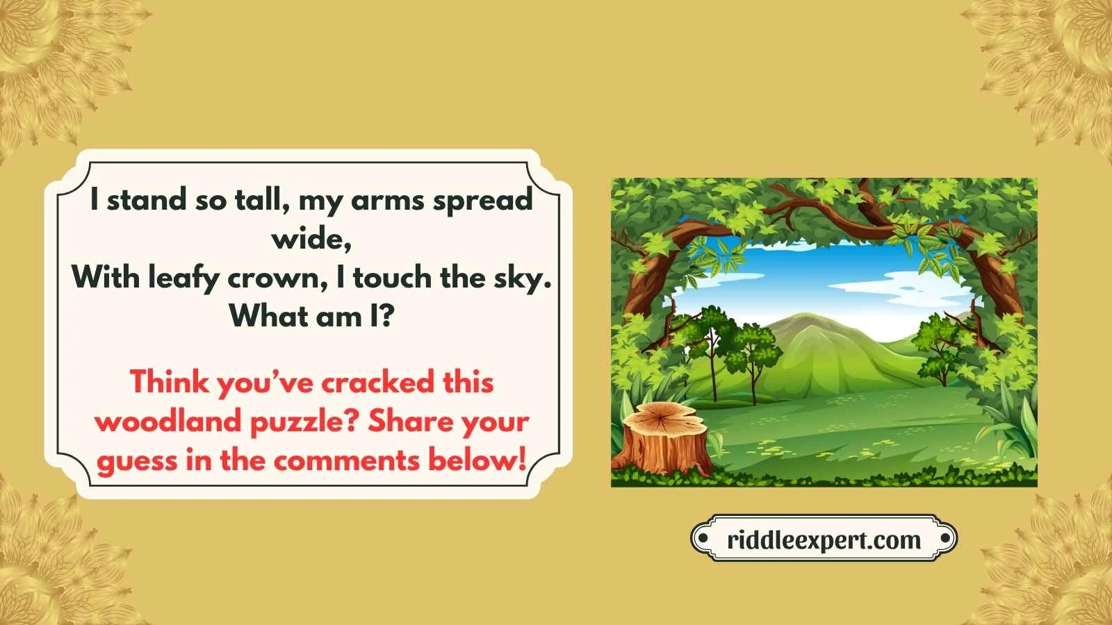 Forest Riddles