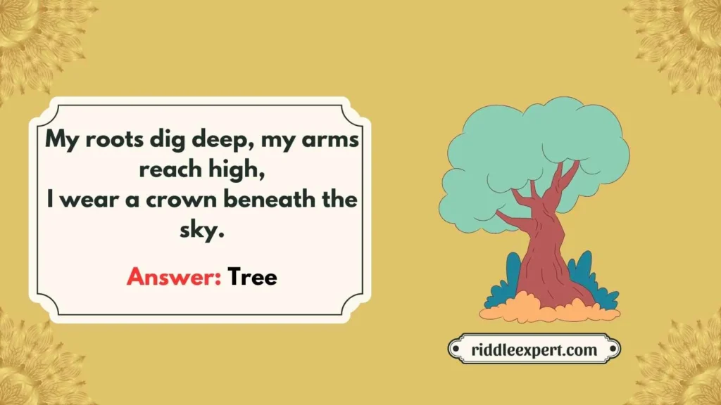 Forest Towering Giants