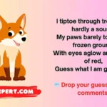 Fox Riddles