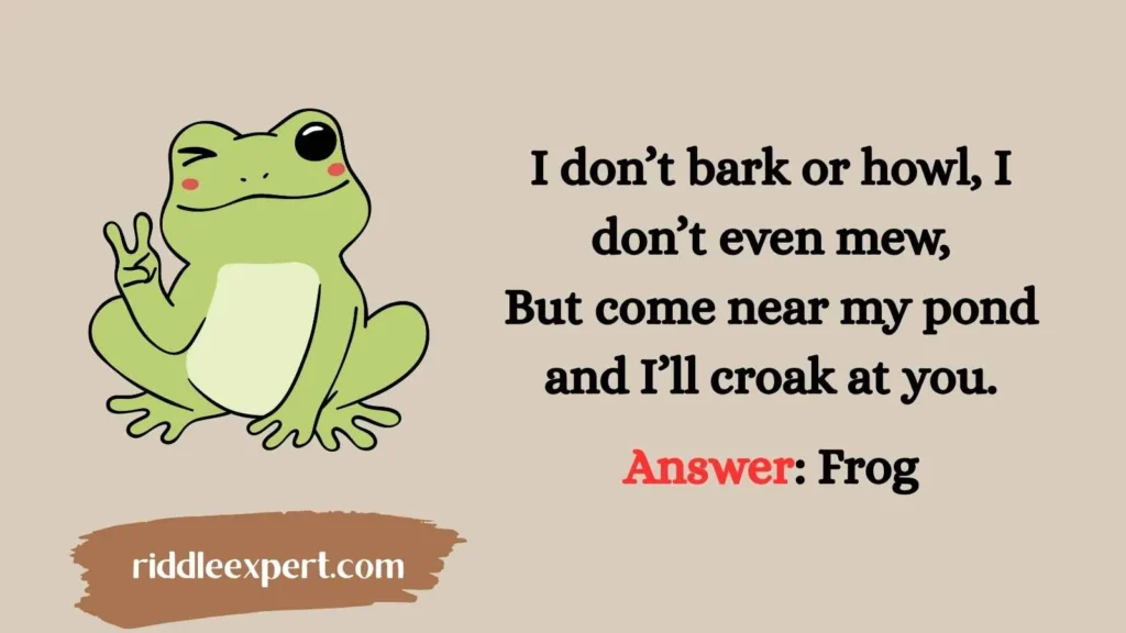 Frogs and Friends Riddles