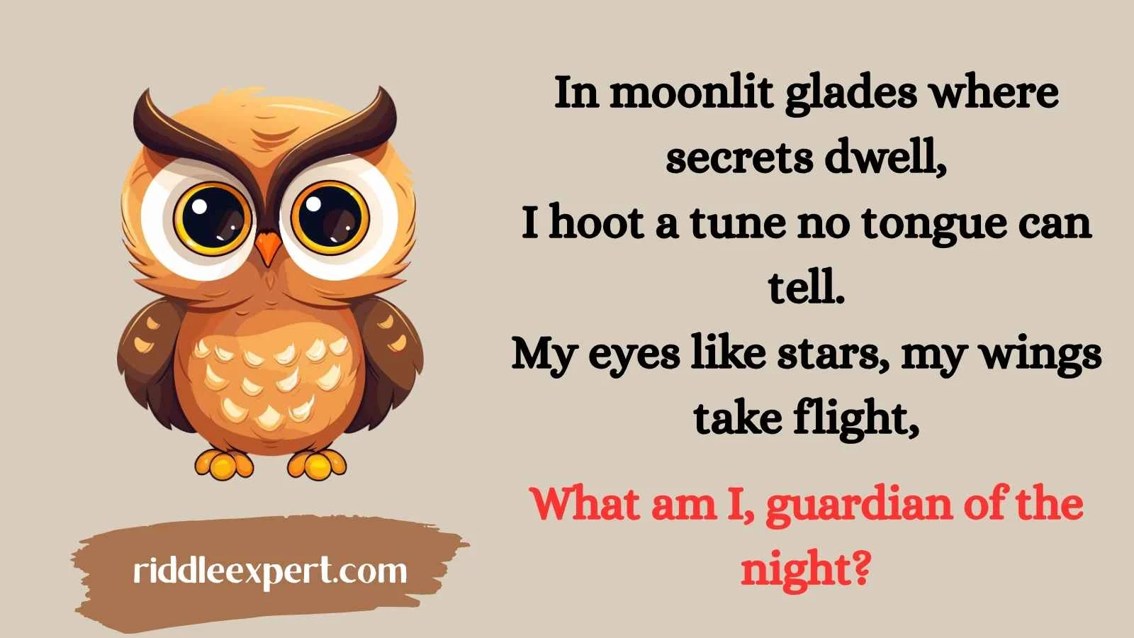 Fun Owl Riddles