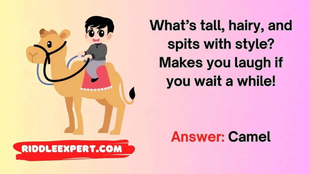 Funny Camel Riddles