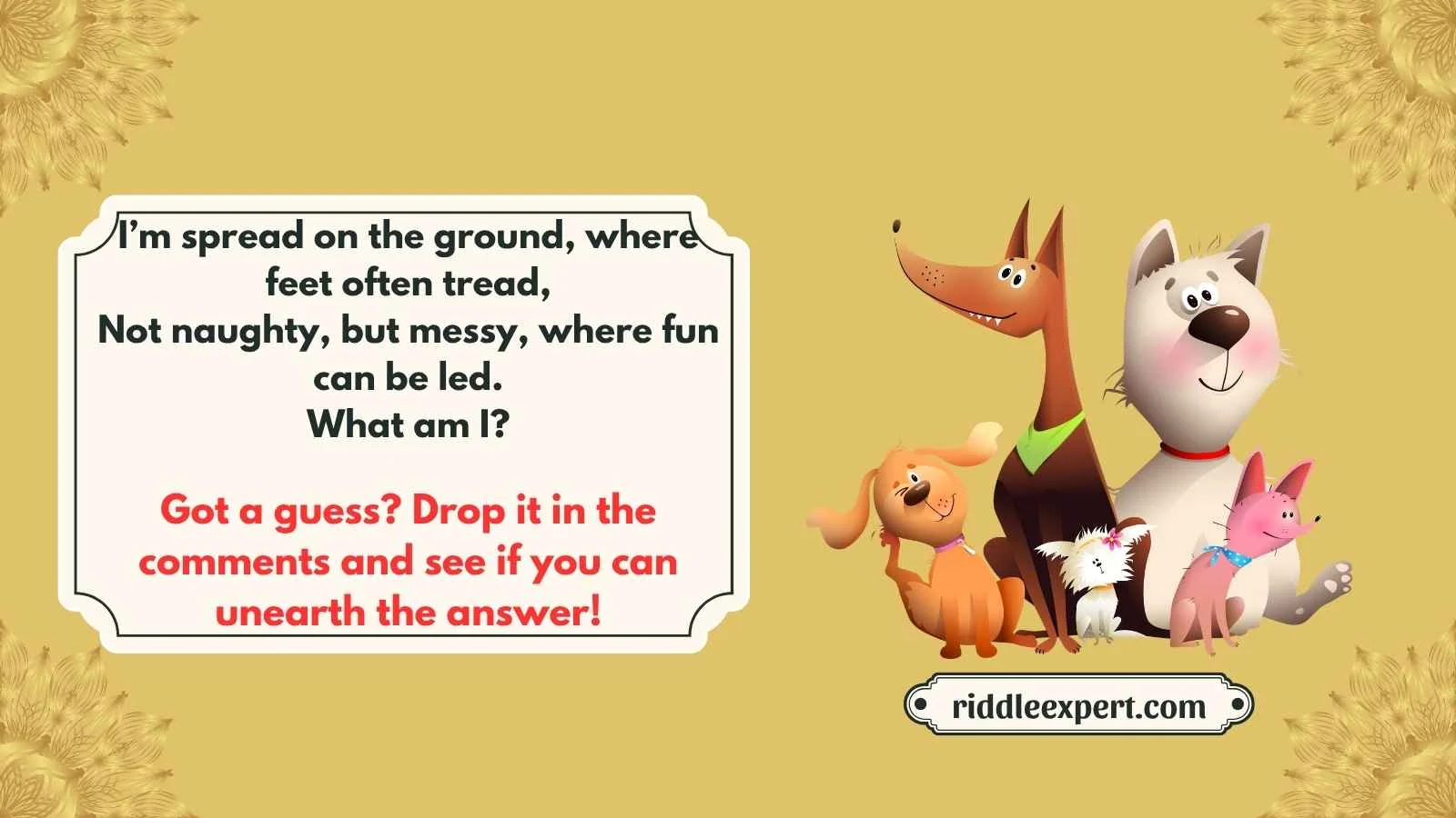 Hilarious Dirty Riddles