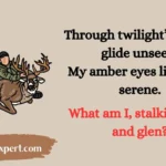 Hunting Riddles