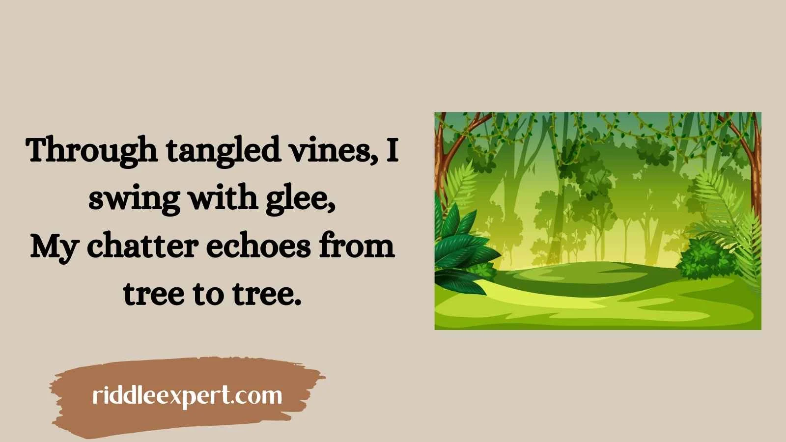 Jungle Riddles