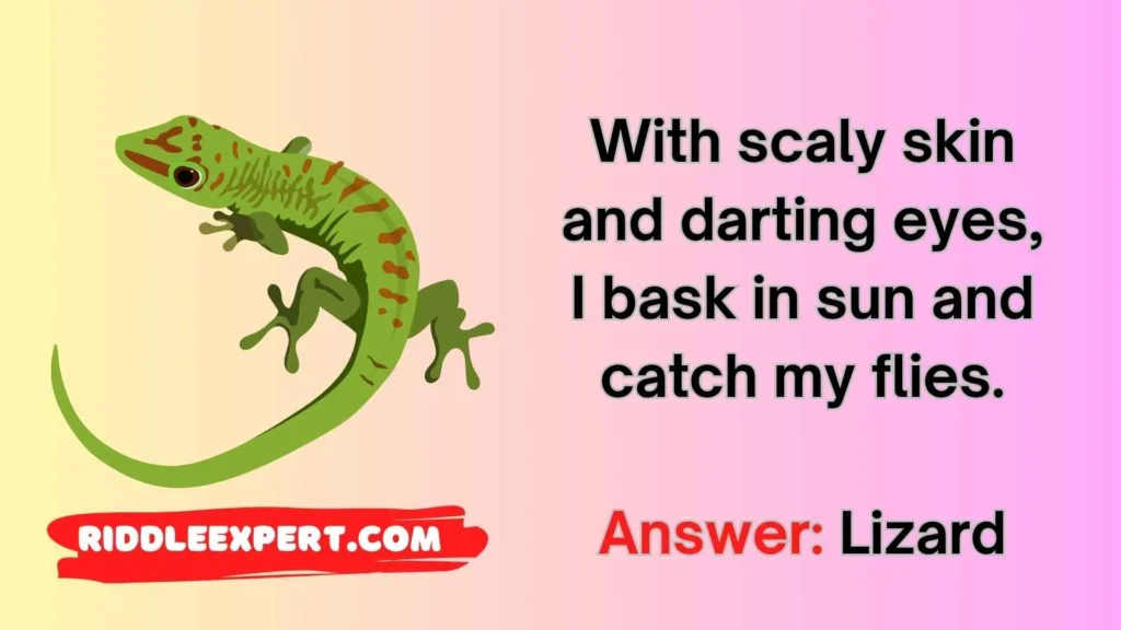 Lively Lizard Riddles