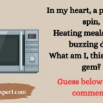 Microwave Riddles