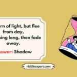Mind Traps Riddles