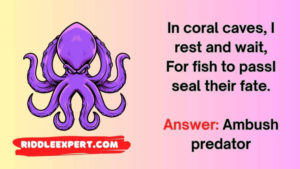 Octopus in the Wild Riddles