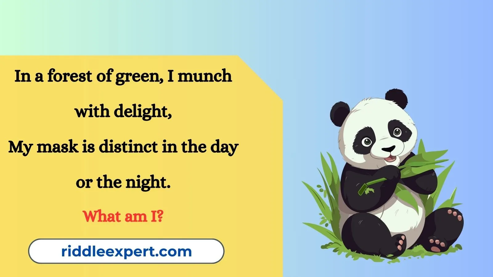 Panda Riddles