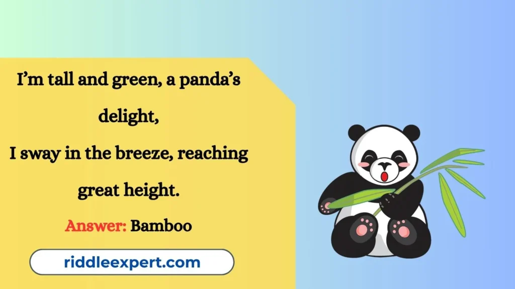 Panda’s Bamboo Feast Riddles