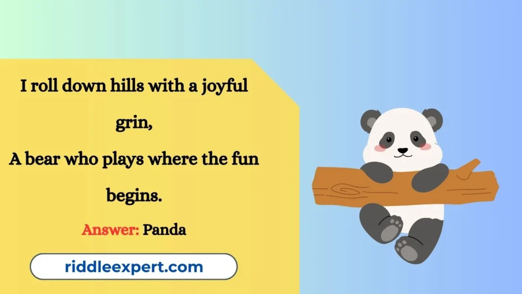 Panda’s Playful Habits Riddles
