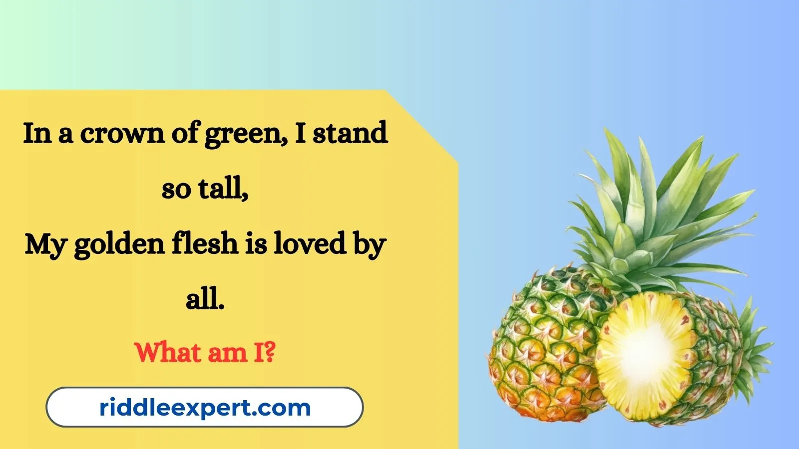 Pineapple Riddles