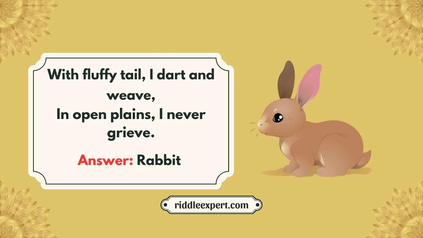 Rabbit Riddles
