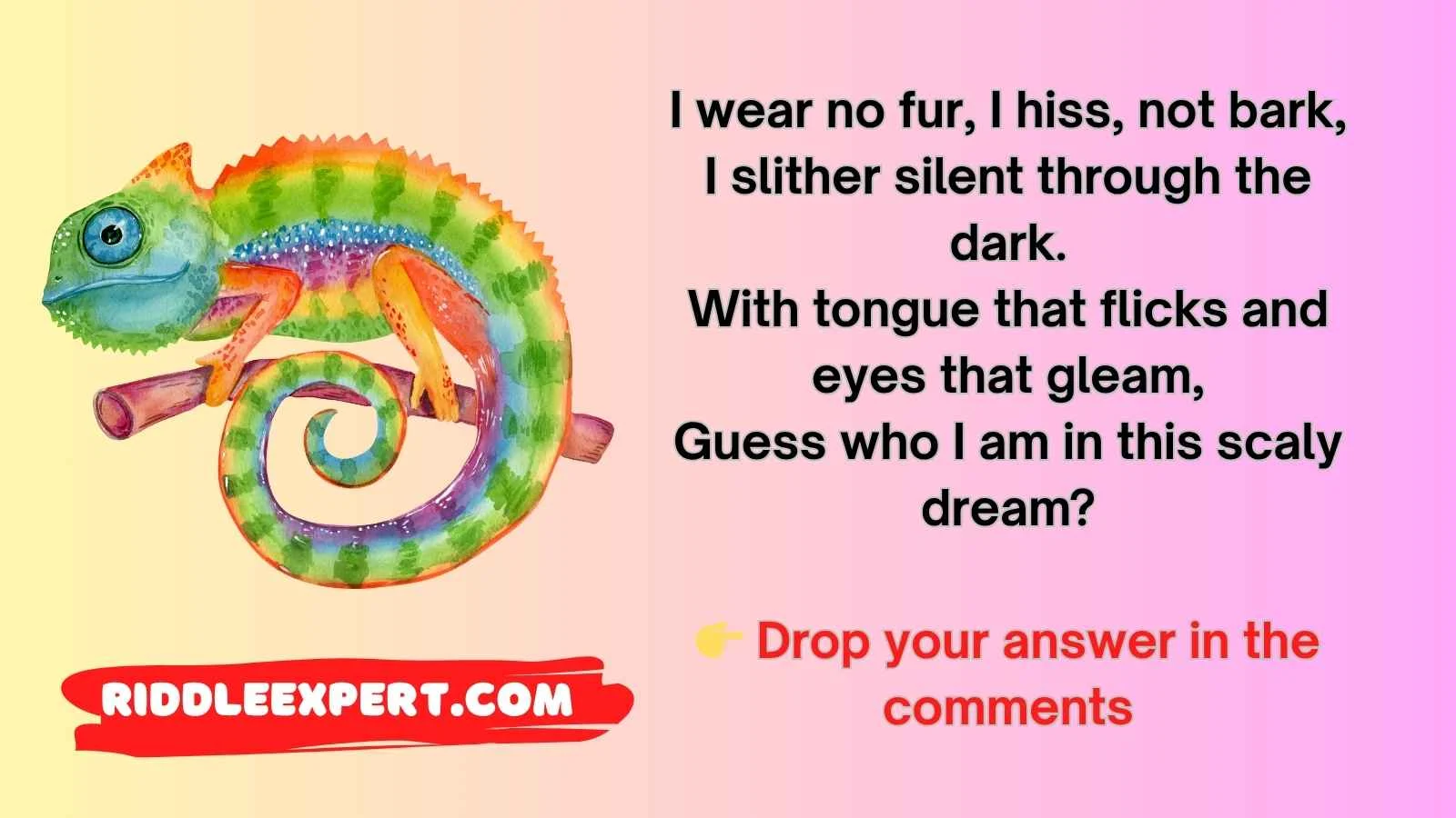 Reptile Riddles